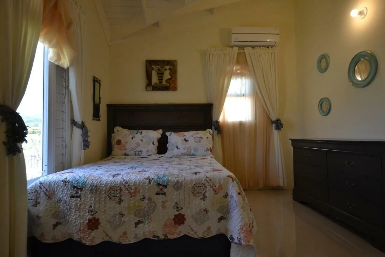 Treasure Manor Βίλα Mammee Bay Σπίτι διακοπών